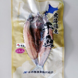 naru_2023_nishin
