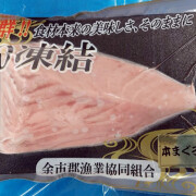 natsu_2023_maguro