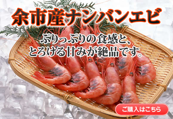 余市産ナンバンエビ