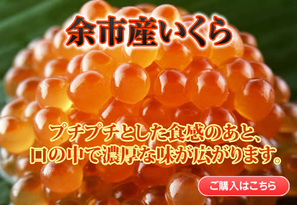 余市産いくら