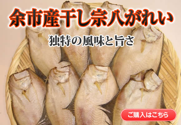 余市産干し宗八がれい