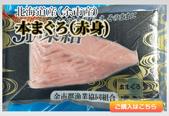 北海道産（余市産）本まぐろ（赤身）新夏
