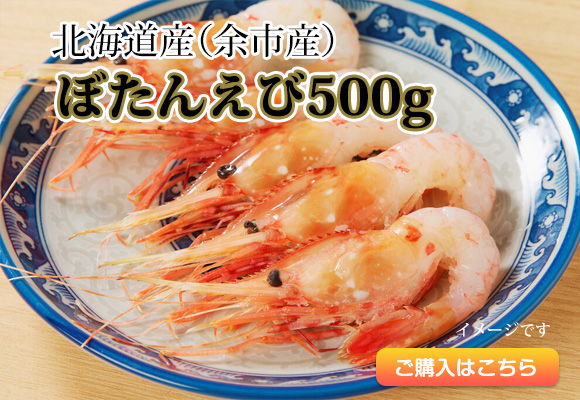 北海道産（余市産）ぼたんえび500g