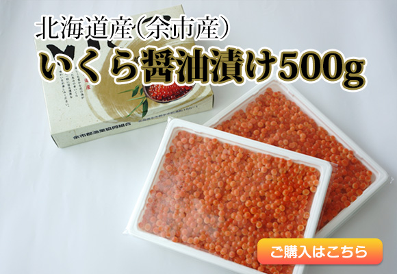 北海道産（余市産）いくら醤油漬け　500グラム