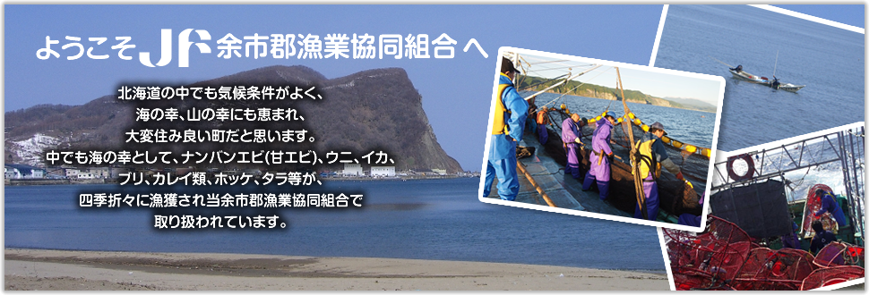 北海道余市の甘エビ・うに などの海産物を通販しています。